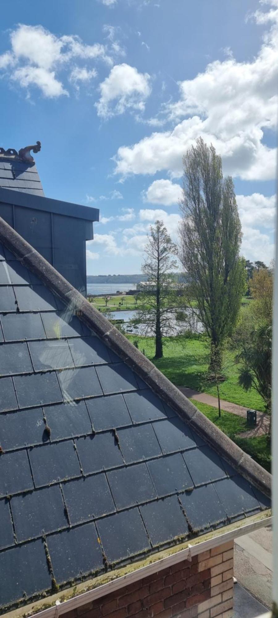 Rowcroft Lodge Guest House B&B ペイントン エクステリア 写真