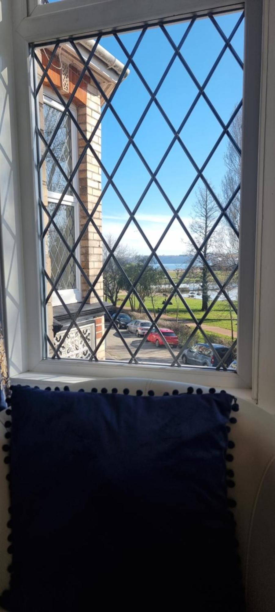 Rowcroft Lodge Guest House B&B ペイントン エクステリア 写真