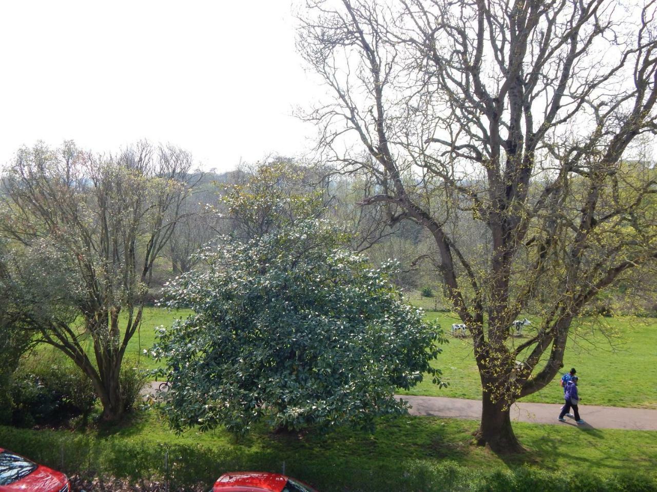 Rowcroft Lodge Guest House B&B ペイントン エクステリア 写真